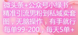 微头条+公众号小绿书,精准引流男粉到私域卖套图,无脑操作,有手就行,每单99-200,每天5单-网创资源站