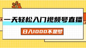 (11906期)一天入门视频号直播带货,日入1000不是梦-网创资源站