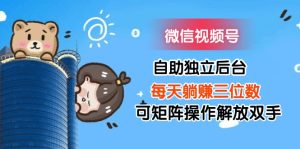 (11910期)微信视频号自助独立后台每天躺赚三位数可矩阵操作解放双手-网创资源站