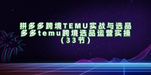 （11934期）拼多多跨境TEMU实战与选品，多多temu跨境选品运营实操（33节）-网创资源站