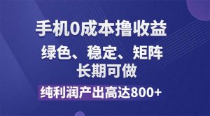 （11976期）纯利润高达800+，手机0成本撸羊毛，项目纯绿色，可稳定长期操作！-网创资源站