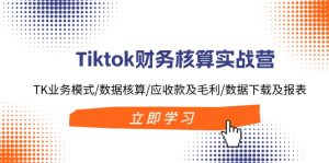 （11978期）Tiktok财务核算实战营：TK业务模式/数据核算/应收款及毛利/数据下载及报表-网创资源站
