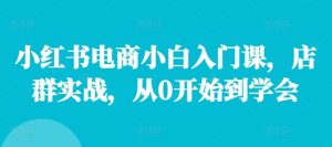 小红书电商小白入门课,店群实战,从0开始到学会-网创资源站