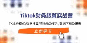 Tiktok财务核算实战营：TK业务模式/数据核算/应收款及毛利/数据下载及报表-网创资源站