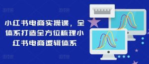 小红书电商实操课，全体系打造全方位梳理小红书电商逻辑体系-网创资源站