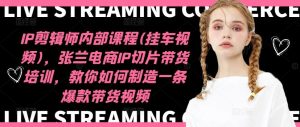 IP剪辑师内部课程(挂车视频)，张兰电商IP切片带货培训，教你如何制造一条爆款带货视频-网创资源站