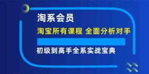 淘系会员初级到高手全系实战宝典【淘宝所有课程,全面分析对手】-网创资源站