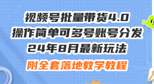 （12093期）24年8月最新玩法视频号批量带货4.0，操作简单可多号账号分发，附全套落…-网创资源站