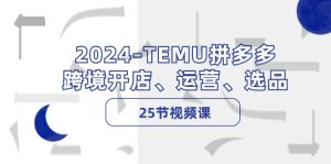 （12106期）2024-TEMU拼多多·跨境开店、运营、选品（25节视频课）-网创资源站