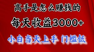 （12144期）1天收益3000+，月收益10万以上，24年8月份爆火项目-网创资源站