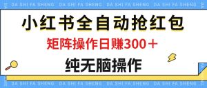 （12151期）最新小红书全自动抢红包，单号一天50＋  矩阵操作日入300＋，纯无脑操作-网创资源站