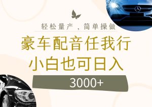 （12206期）不为人知的暴力小项目，豪车配音，日入3000+-网创资源站