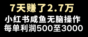 七天赚了2.7万!每单利润最少500+,轻松月入5万+小白有手就行-网创资源站