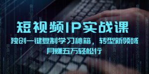 短视频IP实战课，独创一键复制学习秘籍，转战新领域，月赚五万轻松行-网创资源站