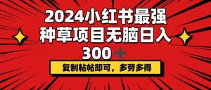（12336期）2024小红书最强种草项目，无脑日入300+，复制粘帖即可，多劳多得-网创资源站