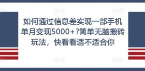 如何通过信息差实现一部手机单月变现5000+?简单无脑搬砖玩法，快看看适不适合你【揭秘】-网创资源站