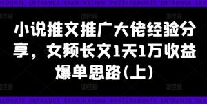 小说推文推广大佬经验分享,女频长文1天1万收益爆单思路(上)-网创资源站