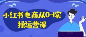 小红书电商从0-1实操运营课，小红书手机实操小红书/IP和私域课/小红书电商电脑实操板块等-网创资源站