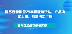 拼多多特训营24年爆破流玩法，产品决定上限，方法决定下限，各种玩法技巧落地实操-网创资源站