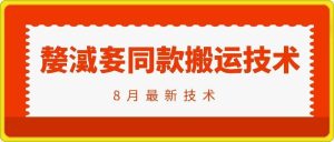 抖音96万粉丝账号【嫠㵄㚣】同款搬运技术-网创资源站