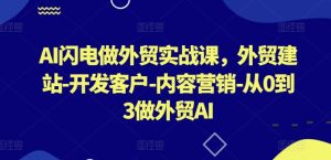 AI闪电做外贸实战课，​外贸建站-开发客户-内容营销-从0到3做外贸AI(更新)-网创资源站