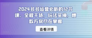 2024多多运营必听的12节课,全程干货,玩法实操,爆款方案尽在掌握-网创资源站