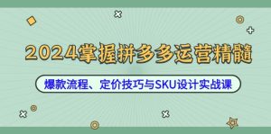 2024掌握拼多多运营精髓:爆款流程、定价技巧与SKU设计实战课-网创资源站