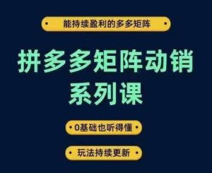 拼多多矩阵动销系列课，能持续盈利的多多矩阵，0基础也听得懂，玩法持续更新-网创资源站