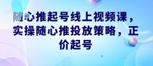 随心推起号线上视频课，实操随心推投放策略，正价起号-网创资源站