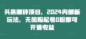 头条搬砖项目,2024内部新玩法,无风险起号0粉即可开通收益-网创资源站