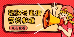 视频号直播带货教程:选品思路与话术拆解/掌握多种带货套路/提升直播效果-网创资源站