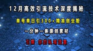 最新高效引流技术深度揭秘 ，单号单日引300+精准创业粉，一分钟一条原创素材，引爆你的私域流量-网创资源站
