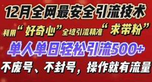 12 月份全网最安全引流创业粉技术来袭,不封号不废号,有操作就有流量【揭秘】-网创资源站