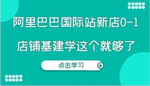 阿里巴巴国际站新店0-1,个人实践实操录制从0-1基建,店铺基建学这个就够了-网创资源站