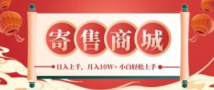 一部手机,一天几分钟,小白轻松日入上千,月入10万+,纯信息项目-网创资源站