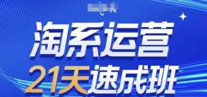 淘系运营21天速成班(更新24年12月),0基础轻松搞定淘系运营,不做假把式-网创资源站