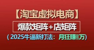 淘宝虚拟电商,2025牛逼新打法:爆款矩阵+店矩阵,月入过万-网创资源站