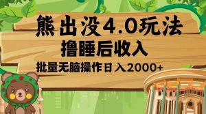(13666期)熊出没4.0新玩法,软件加持,新手小白无脑矩阵操作,日入2000+-网创资源站