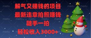 (13686期)解气又赚钱的项目,最新违章拍照赚钱,随手一拍,轻松收入3000+-网创资源站
