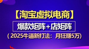 (13687期)【淘宝虚拟项目】2025牛逼新打法:爆款矩阵+店矩阵,月狂赚5万-网创资源站