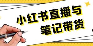 小红书直播与笔记带货:选品、上架、笔记写作、视频剪辑及直播话术等-网创资源站