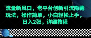 流量新风口,老平台创新引流隐藏玩法,操作简单,小白轻松上手,日入2张,详细教程-网创资源站