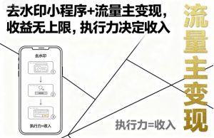 去水印小程序+流量主变现,收益无上限,执行力决定收入-网创资源站