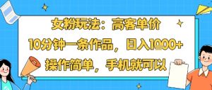 女粉玩法:高客单价,10分钟一条作品,日入1k+操作简单,手机就可以-网创资源站