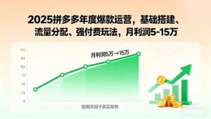 2025拼多多年度爆款运营,基础搭建、流量分配、强付费玩法,月利润5-15万-网创资源站