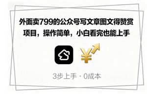 外面卖799的公众号写文章图文得赞赏项目,操作简单,小白看完也能上手-网创资源站
