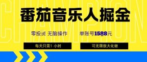 番茄音乐人掘金,单账号最高可撸1k+,可无限矩阵去做,零投入-网创资源站