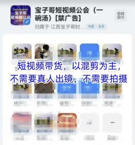 宝子哥头部团队短视频带货,以混剪为主,不需要真人出镜,不需要拍摄【更新9月】-网创资源站