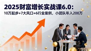 2025财富增长实战课6.0:10万起步+7大风口+6行业案例,小团队年入200万-网创资源站