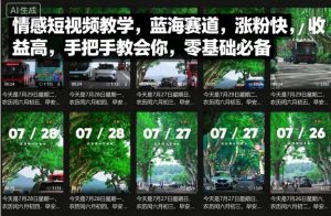 情感短视频教学,蓝海赛道,涨粉快,收益高,手把手教会你,零基础必备-网创资源站
